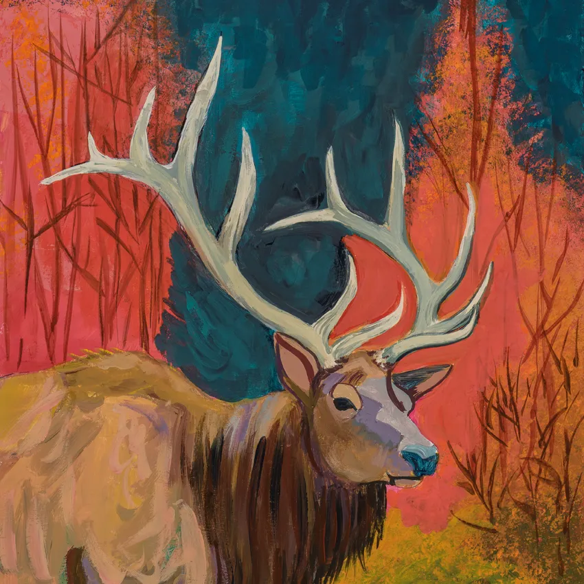 WATERS EDGE ELK canvas print with float frame