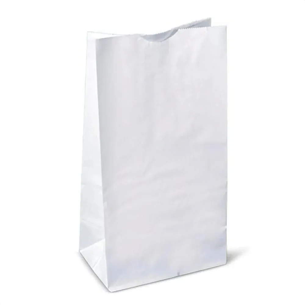 White Paper Bag #6